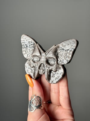 SILVER SHEEN OBSIDIAN SKULL MOTHS