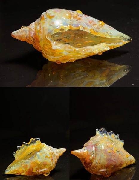 Image of Large Shell 9