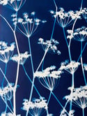Original Flowering Cyanotype
