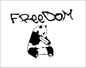 Image of Panda Freedom