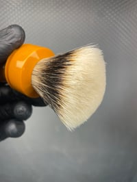 Image 4 of Butterscotch