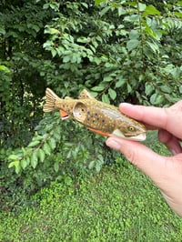 Image 3 of September PRE ORDER-  Brook Trout 