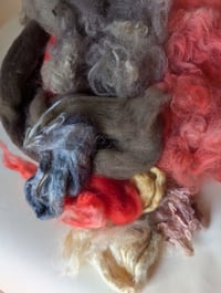 Image 2 of Cecropia Silk Moth Inspired Fiber Kit For Blending, Carding, Spinning, Felting