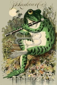 Larkin - Frog Playing the Flute