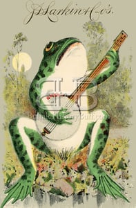 Image of Larkin - Frog Playing the Banjo