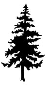 Image of Evergreen Tree