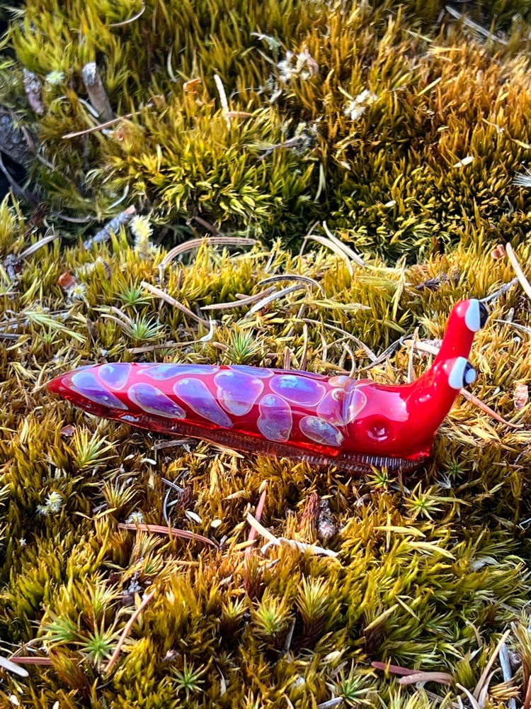 Image of Red Boro Slug