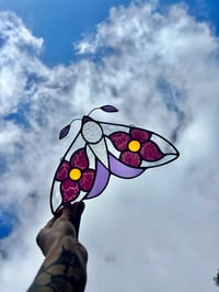 Image 1 of Violet Wildflower Moth 