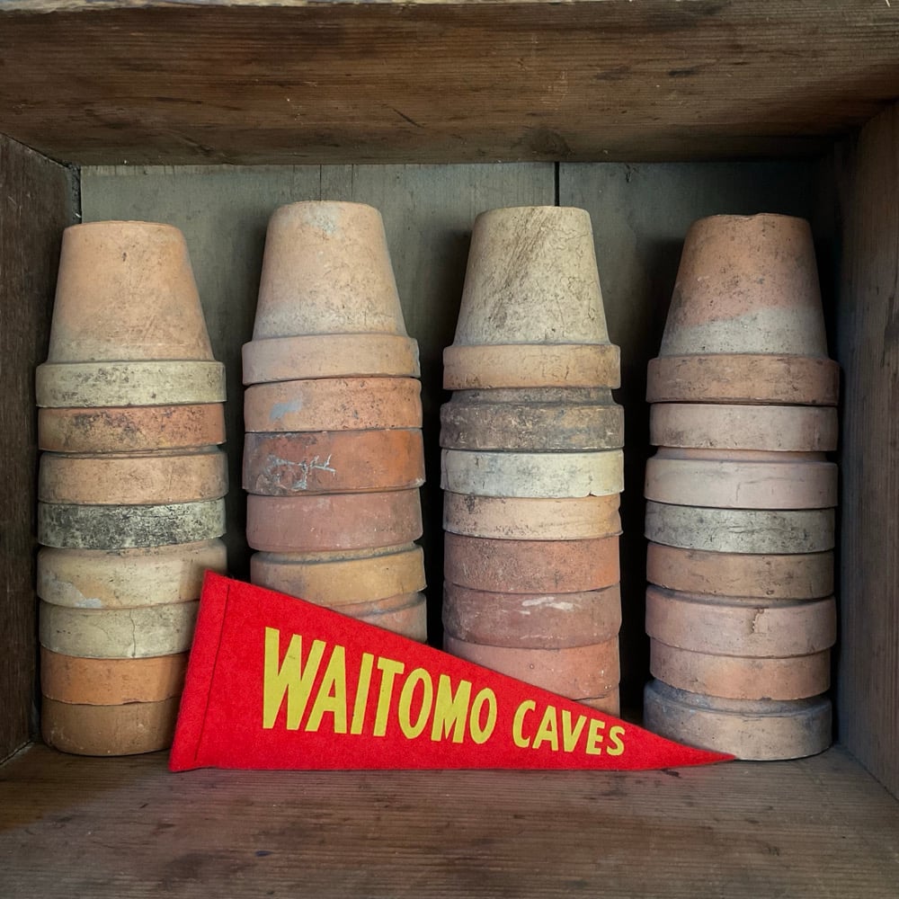 Image of Waitomo Caves