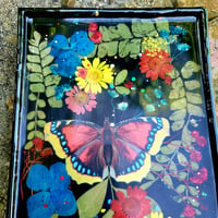 Image 2 of Scarlet Mourning-Cloak Wall-Hanging 