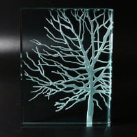 Image 2 of Tree glass block