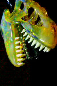 Image 4 of NS yellow T-Rex skull pendant with uv stardust tip and uv reactive teeth 🦖😤