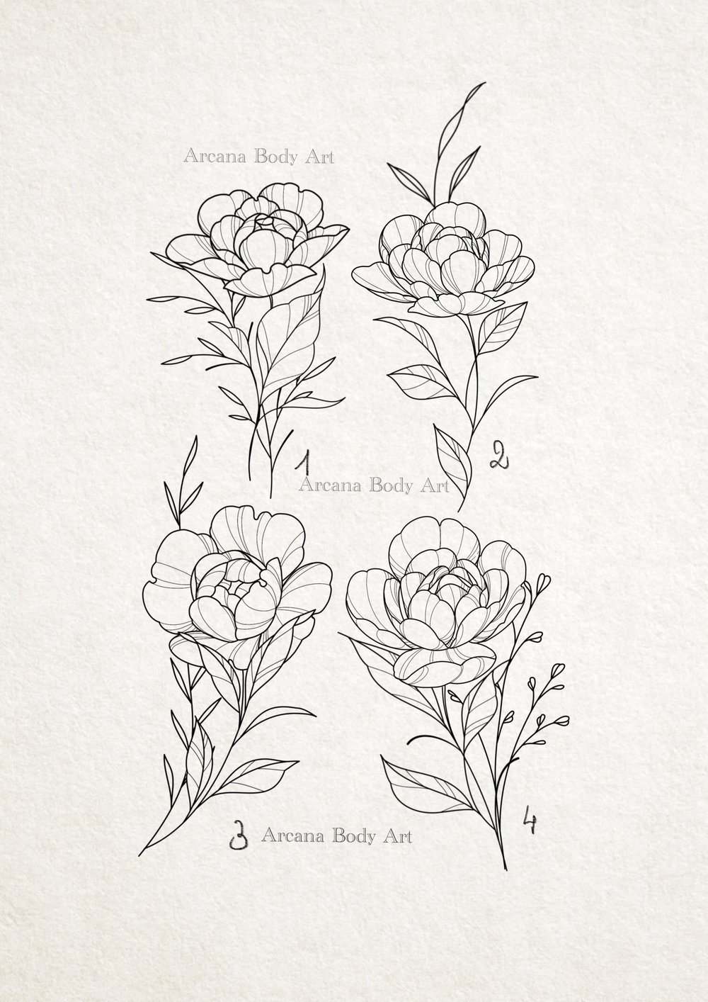 Image of Pivoines Solitaires