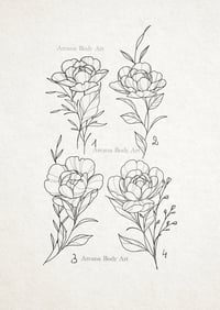 Pivoines Solitaires