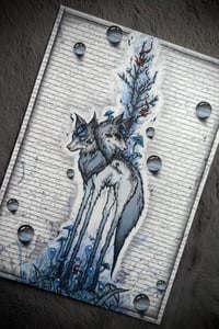 Image 1 of Kuri Kahu Prints