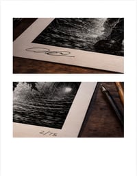 Image 4 of Frankie takin a walk. 