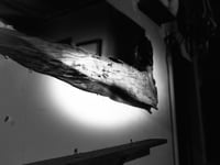 Image 9 of Broaderless Dift  Wood Mirror 