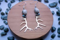 Image 2 of Elk Ivory & Turquoise Antler Earrings 