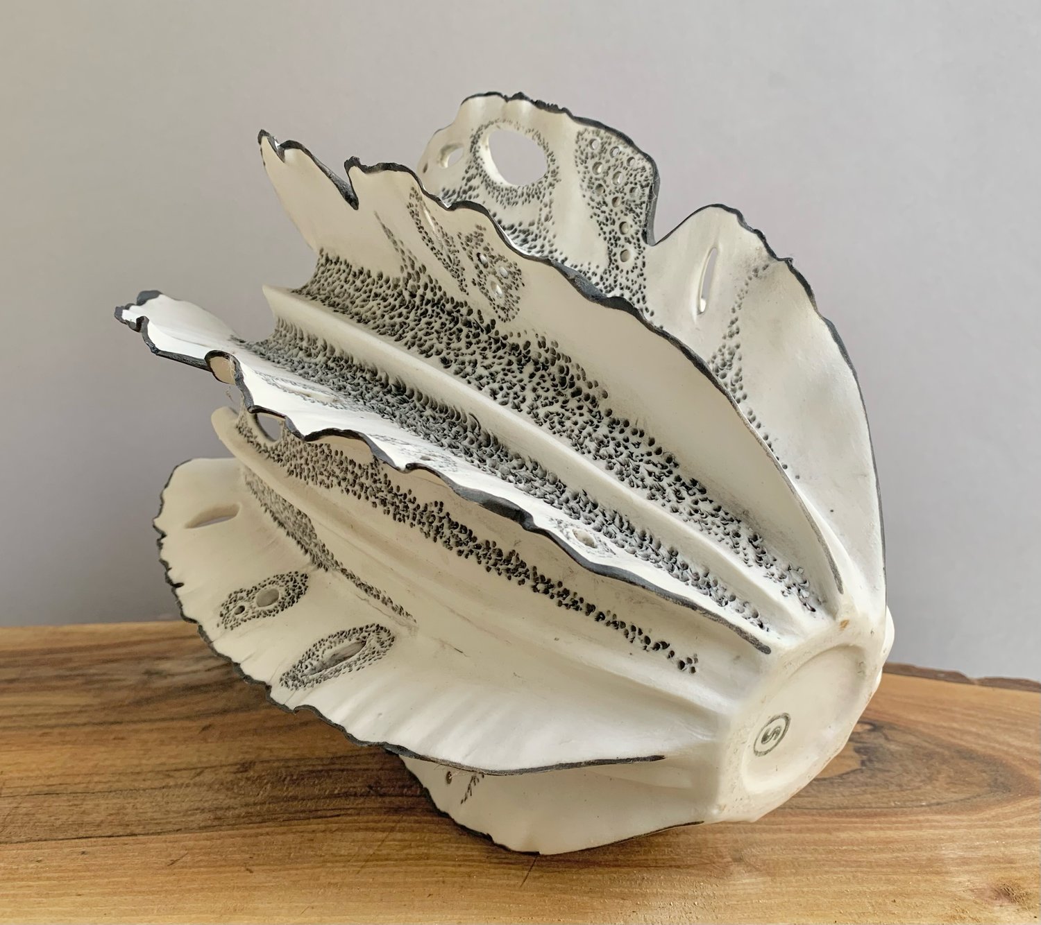 Image of Black and White Coral 