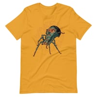 MUSTARD-SPIDER