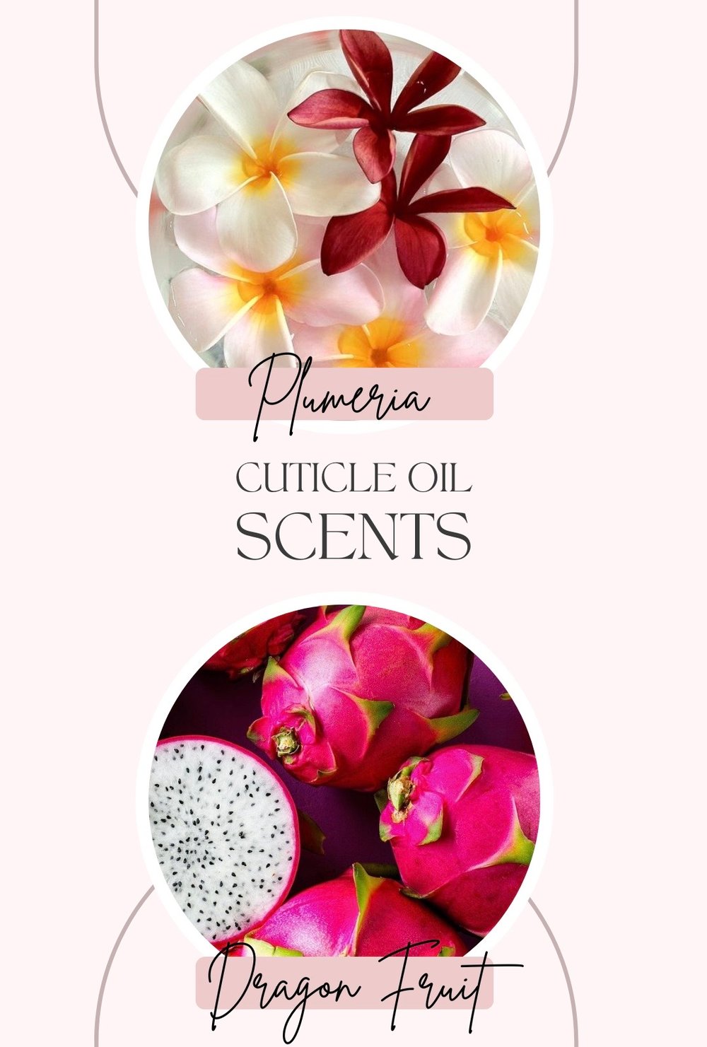 Cuticle Oil