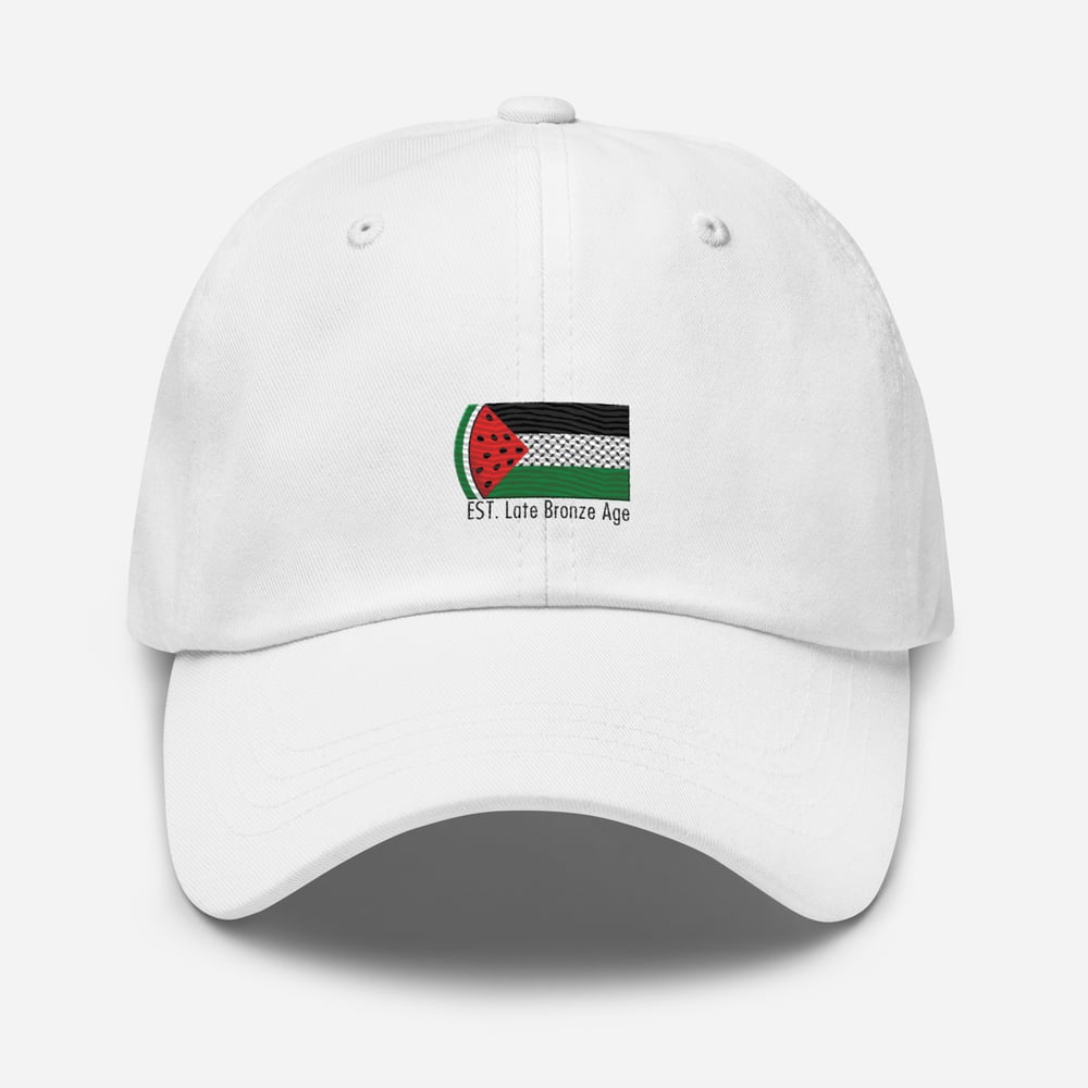 Image of Palestine flag cap