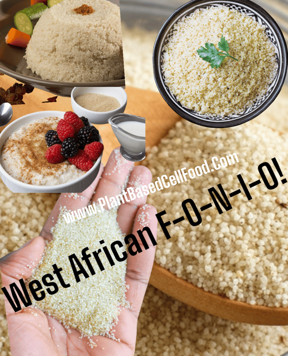 Grass Roots! FoneYO! West African Quick Cook Fonio Grass Seeds
