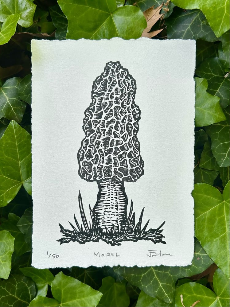 Image of The Fungus Among Us: Monthly Mushroom series