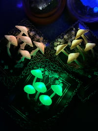 Image 3 of Small led mushroom frames