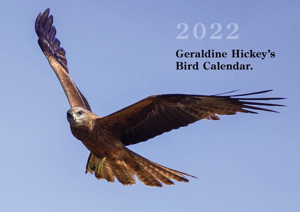 Bird Calendar 2022! Geraldine Hickey