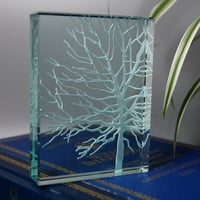 Image 4 of Tree Glass Block