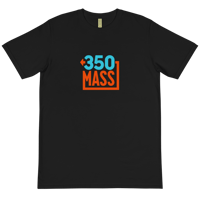 Organic Cotton 350 Mass T-Shirt