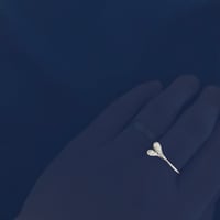 Image 3 of Mistletoe ring