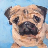 Pugsley    8x8