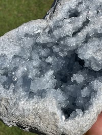 Image 4 of Celestite Geode #1801