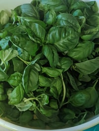 Image 1 of Freeze Dried Garlic Basil Salt