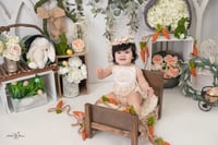 Image 2 of Easter Minis 