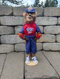 Image 1 of NASCAR Mink