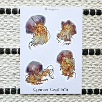Image 3 of Jellyfish Sticker Sheet 🪼