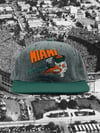 Miami Hurricanes (wool)