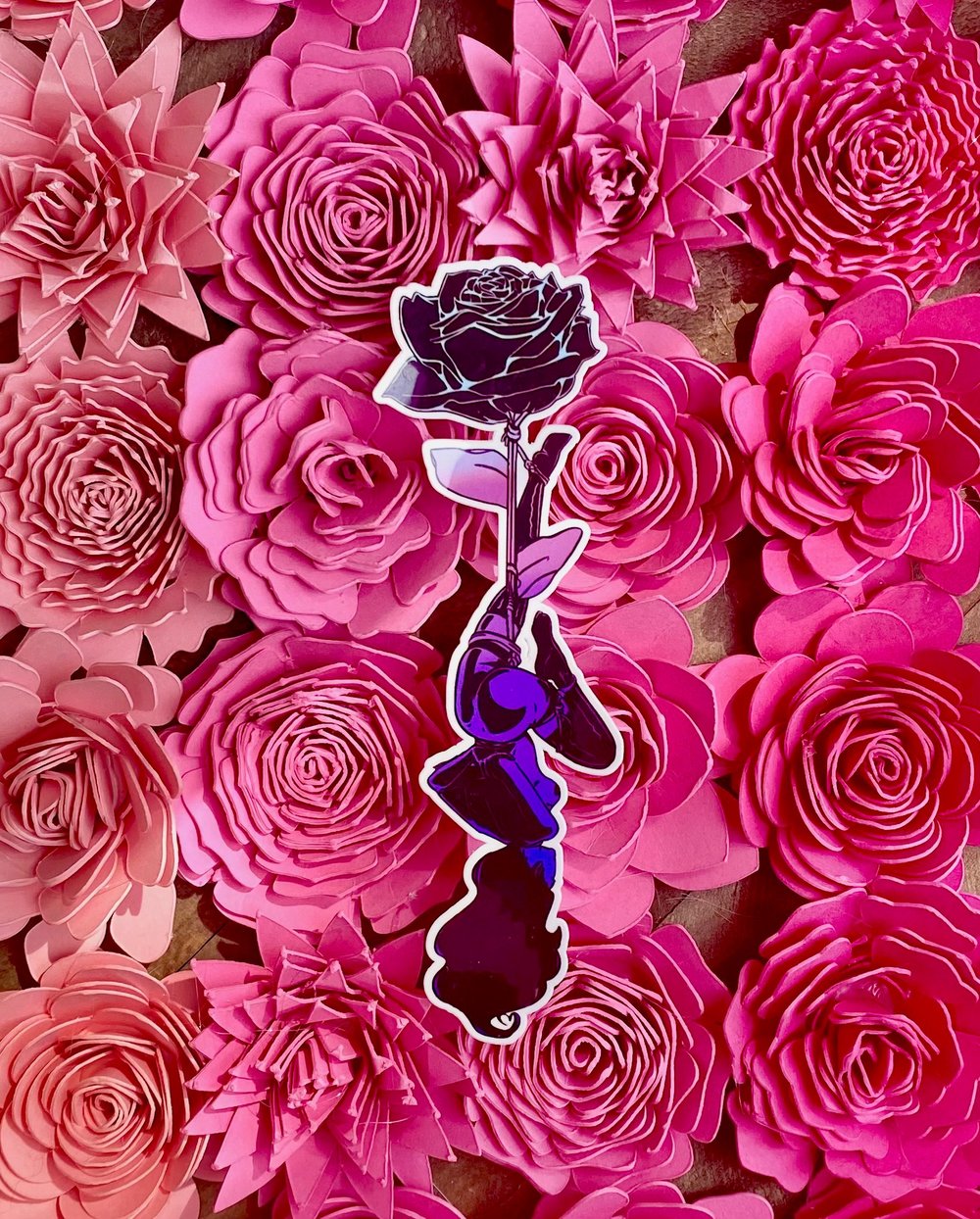 Image of Black rose scandalous rose 
