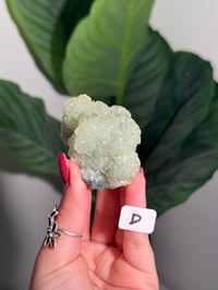 Image 4 of CHOOSE YOUR OWN SMALL PREHNITE CLUSTER -INDIA-