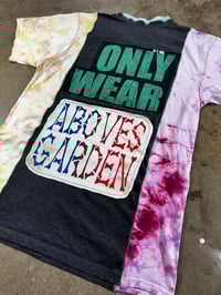 Image 4 of 211. RACE TO THE GARDEN 