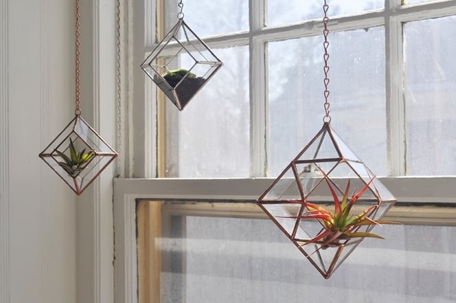 Zephyrus Terrarium, limited edition / ABJ glassworks Zephyrus Terrarium, limited edition / ABJ glassworks