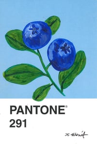 Blueberry Pantone