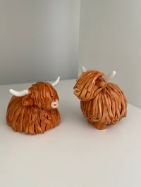 Image 3 of Buwch yr Ucheldir - Highland Cow