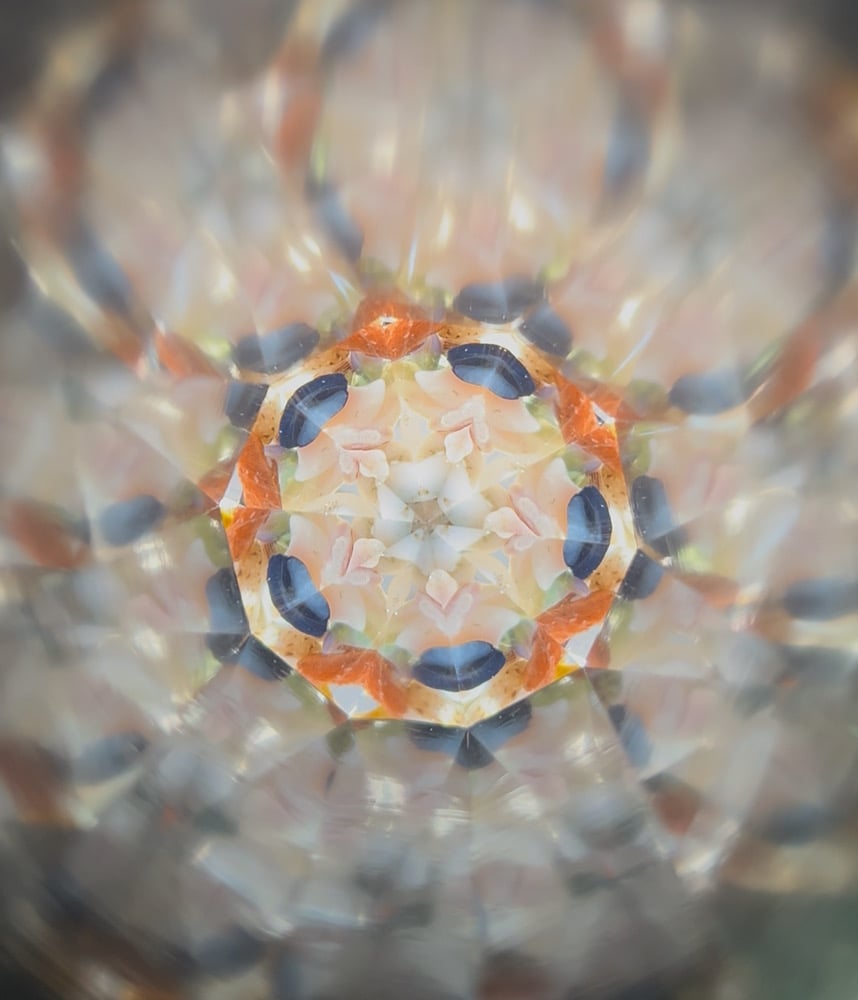 Image of Shell Beach Odyssey AuraScope