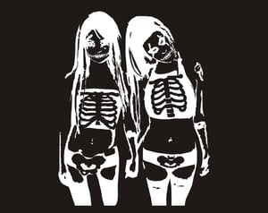 Image of Skeleton Twins 