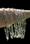 Image of Barbed Wire Choker