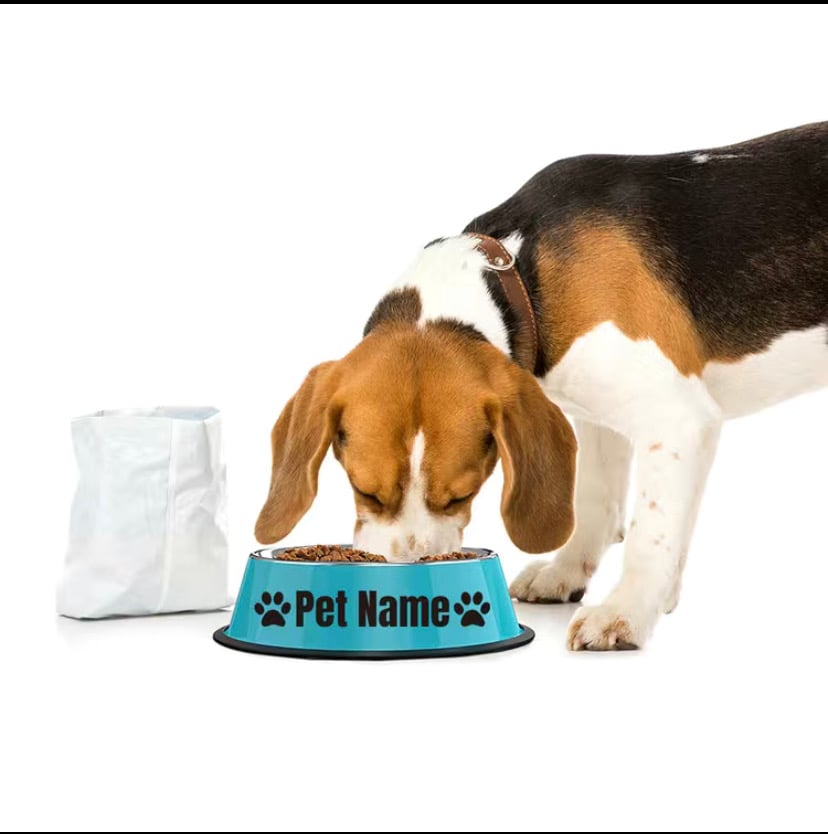 Image of custom named dog bowl